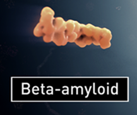 Beta-amyloid