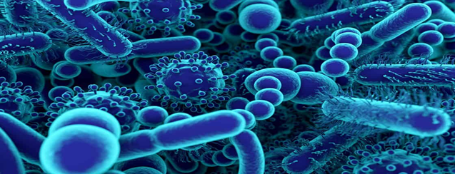 The Microbiome